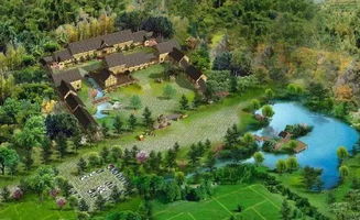 农家乐：田园风情or宰客天堂？2026年五行运势分析！！！