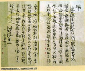 1975年属兔的朋友：温柔的和平者