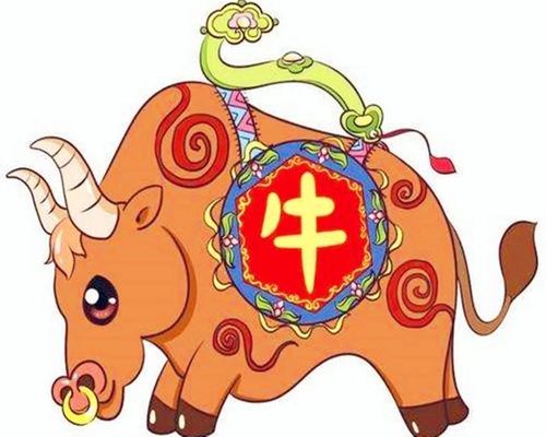 三、提车前的迷惑行为指南