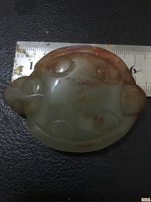 玉龙龟的风水作用,什么是龟地风水