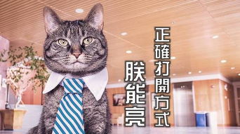 高风亮节代表哪个生肖？高风亮节的动物是什么？