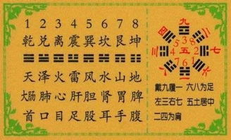 男坎命女震命在风水命理中具体代表什么含义和象征？