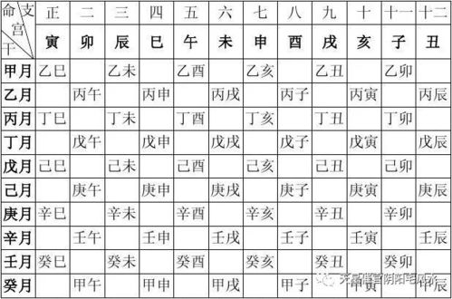 如何根据八字夏令时快速查询八字信息？
