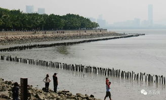 揭阳望天湖生态园：舌尖上的生态体验
