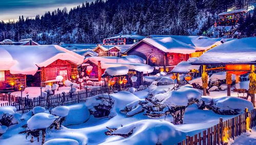 雪乡的未来：可持续发展
因为旅游业的发展，雪乡也面临着一些挑战。如何保护好环境，如何保持淳朴的民风，是当地政府和居民需要思考的问题。我们作为游客，也要爱护环境，不要乱扔垃圾，尊重当地的风俗习惯。只有这样，雪乡才能一直美下去，才能让更多的人看到它的美。
：雪乡等你来