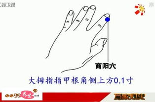 4、拇指——祖宗的保佑