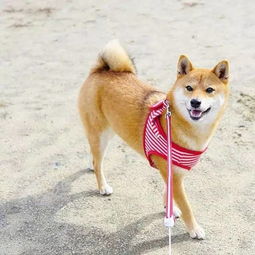 冻成狗也要美！1月港澳穿搭拍照魔幻生存手册