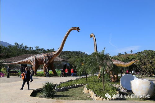 2026年最新玩法：在恐龙园寻找隐藏的十二生肖！