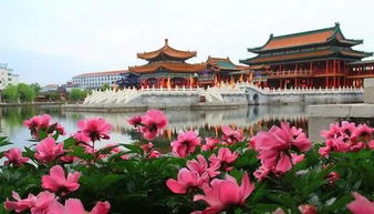 交通：怎么去都行，就是别走路