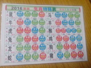 光在生肖中代表什么？神七打一生肖数字有何含义？