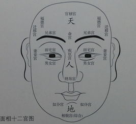 男孩面相有何讲究？正确解读有哪些要点？