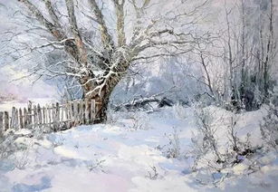 登至玉皇极顶， 领略浪漫雪景