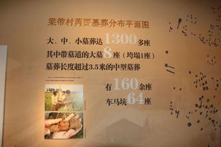 二、门票特惠，不容错过的好机会