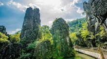 五、 旅行设施与服务情况（乱序版）