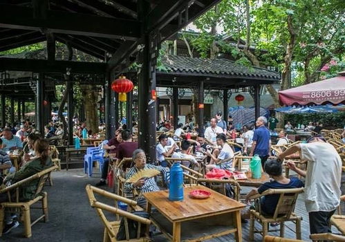 四、 噪音与沉默之间