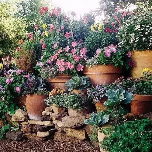 庭院盆栽花卉种植品种,庭院盆栽绿植