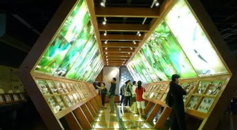 地震屋：这真的不是在吓唬小孩吗？