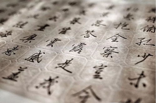 女孩怎样成为人间精灵？这一些搭配绝了！