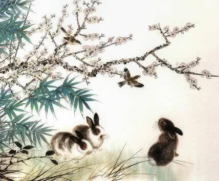 生肖兔 ：温柔体贴 ，家里和睦