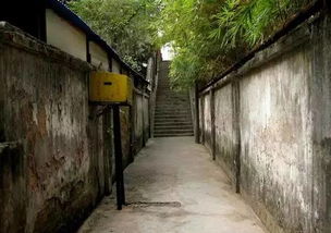 二、 千朝园的历史持续发展与文化底蕴