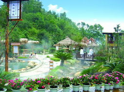 聊城天沐温泉：98元团购的