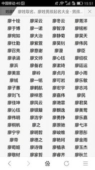 如何将廖氏起名猴宝宝转化为宝宝起名的技巧与方法？