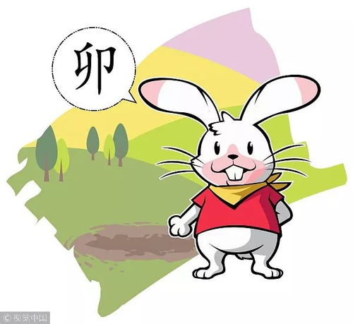 属兔宝宝出生月份旺父母，兔年闰几月有何特殊含义？