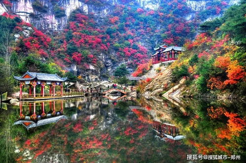 九皋山：声声鹤鸣，穿越千年