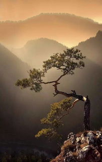 探索真实相的易经智慧