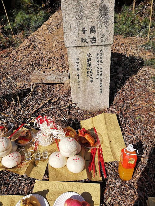 家庭与宗族的纽带：从小型到大型