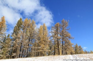 住宿？准备好睡猪圈吧！