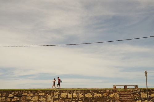 带娃血泪史：广州景点避坑指南（2026年黄历特别版）