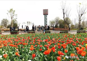 一、时间篇——别等到“花谢”才后悔