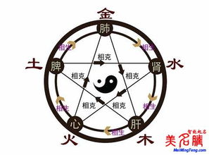五行理论其实是种