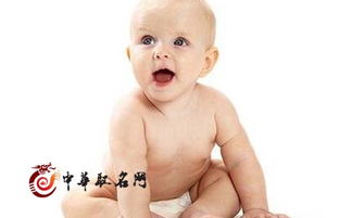如何为生肖猪的宝宝挑选带猪字的吉祥用字？