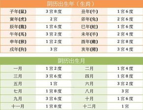 第一章：岁数的迷雾——35岁还是38？那是宿命的挣扎