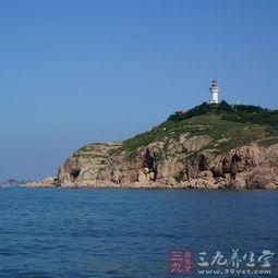 五、 非物质文化遗产：剪纸、泥塑、还有……?