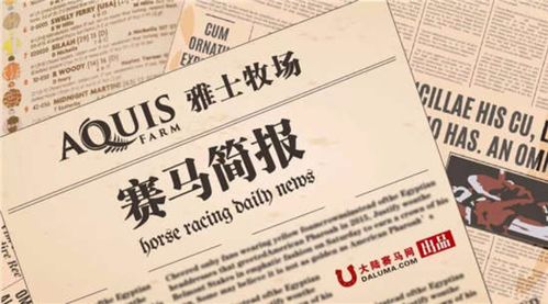 2026年黄历预警！生肖属猴的千万别在这天骑马