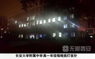 虎——体育馆西面的猛虎咆哮