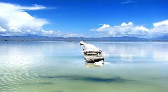 2023年盐湖城盐湖探秘之旅有什么独特体验这个？