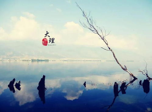 啊！孤独！它来了！