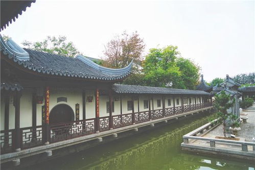 千年运河古dou，聊城风俗韵味浓