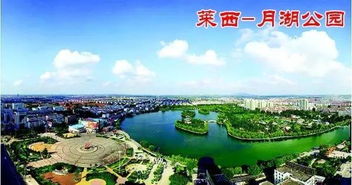 月湖公园升级整改：美的景观与春日盛景
