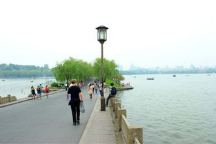 西湖骑行：一场浪漫与崩溃的极限拉扯