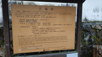 六、实用小贴士 & 噪音大全（继续骚扰）