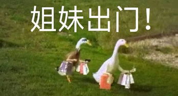 惯与水的哲学思考(假装彳艮有文化的样子)