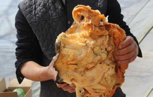 投资需谨慎：别被“馅饼”诱惑