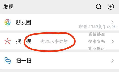 生肖鼠：机灵伶俐，  宜用绿色风水