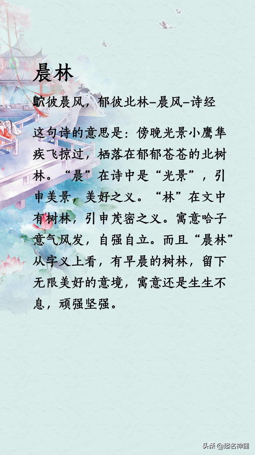 谐音大法好！谁还讲究文化韵？