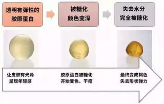 抗糖？真的能让你的皮肤变得更年轻？